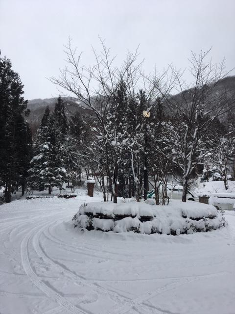 Wadano Forest Hotel & Apartments Hakuba Zewnętrze zdjęcie